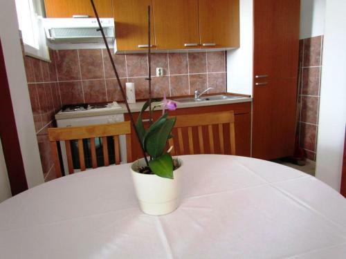 Urban Apartments Jadre