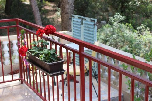 Apartamento The White House Croatia