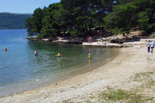 Apartment Stari Grad 8752a