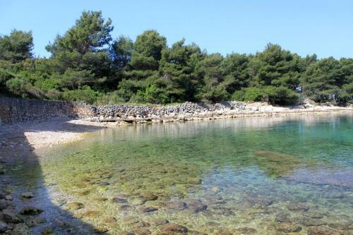Apartment Stari Grad 8752a