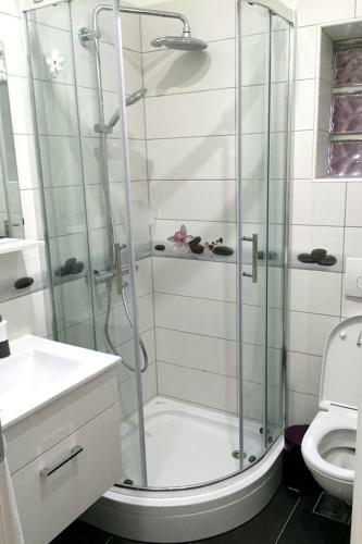 Apartment Novi Vinodolski 5488b