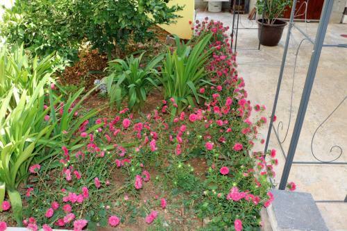 Hostal Guesthouse Mihovil
