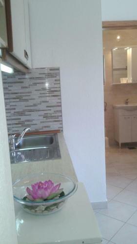 Apartment Anci