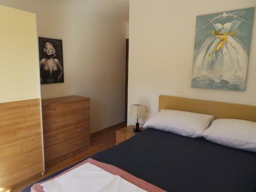 Apartments In Selce 17077