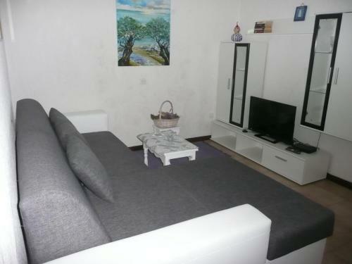 Apartment Sport