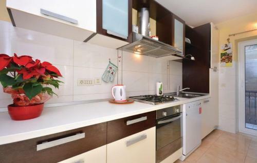 Apartments Seka