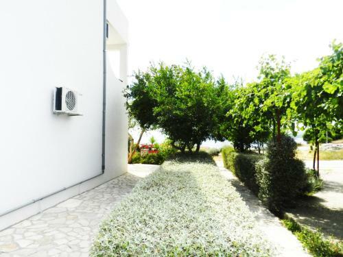 Apartment Andrea No.5
