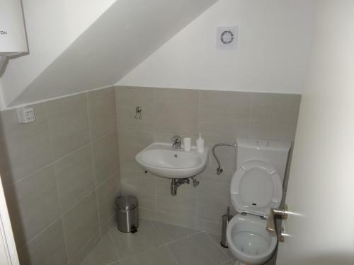 Apartments Roko