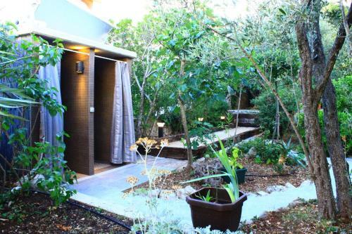 Apartment Surfer's Lodge