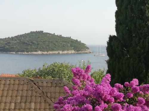 Hostal Banje House