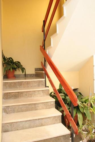 Apartment Vela Luka 4449a