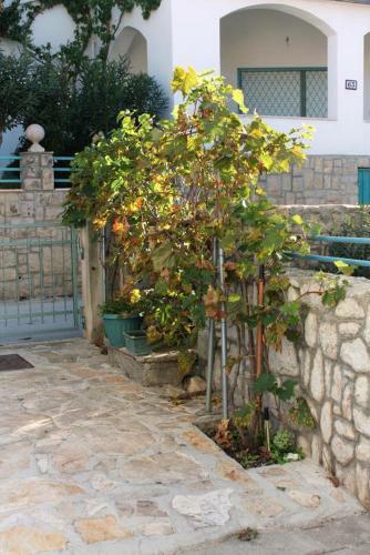 Apartment Bibinje 5758a