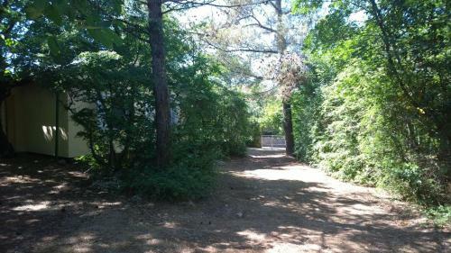 Holiday Home Momcilovic