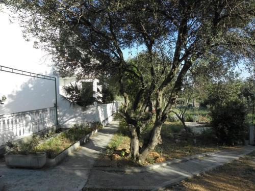 Apartment Barbat 22
