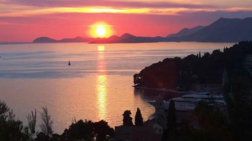 Apartments Red Coral Cavtat