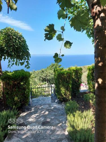 Apartamentos Villa Marija