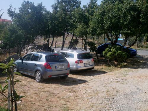 Apartments Cajic