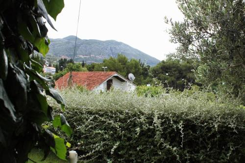 Apartamentos Studio Mlini 8834b