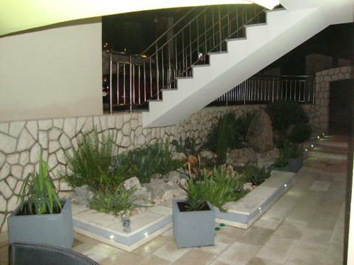 Apartments Ilona
