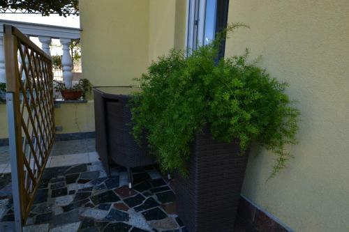 Apartment In Pula 7