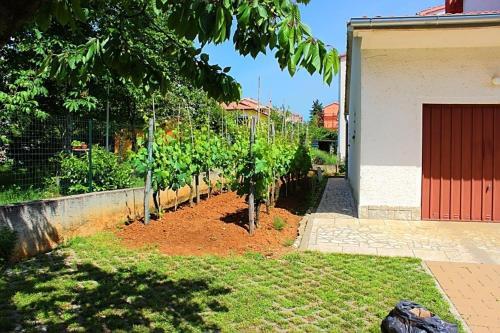Apartment In Porec/istrien 10210