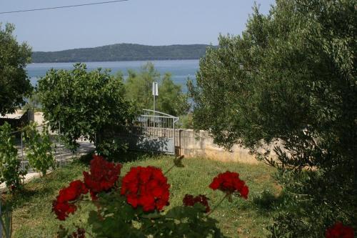 Apartment Bibinje 4197a
