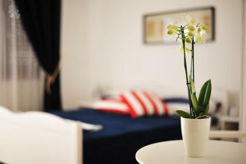 Apartamento Eco-friendly Estate