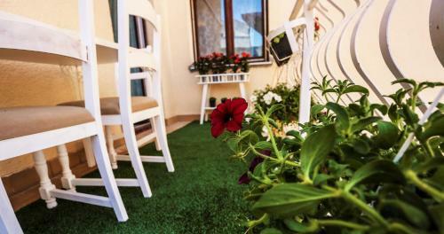 Apartamento Eco-friendly Estate