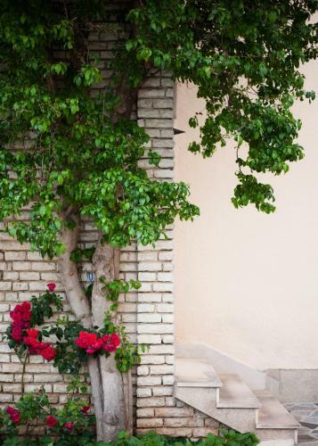 Apartamento Eco-friendly Estate