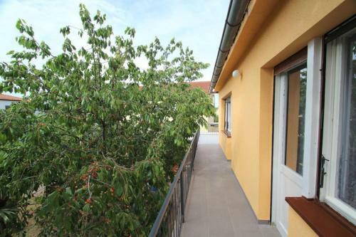 Apartment Umag Lukin