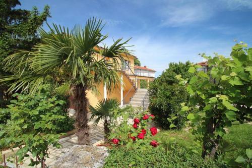 Apartment Umag Lukin