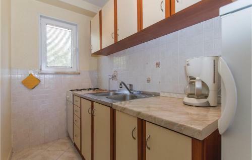 Apartment Viskovici H III