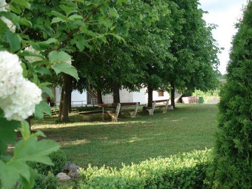 Hostal Guest House Hodak