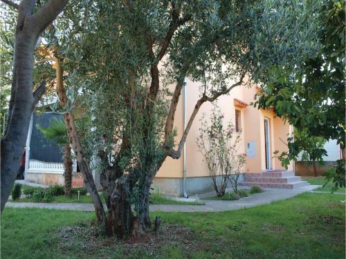 Apartment Vodice *lxxxi *
