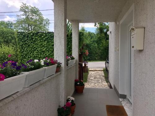 Apartment Garden