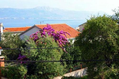 Apartment Arbanija 6062b