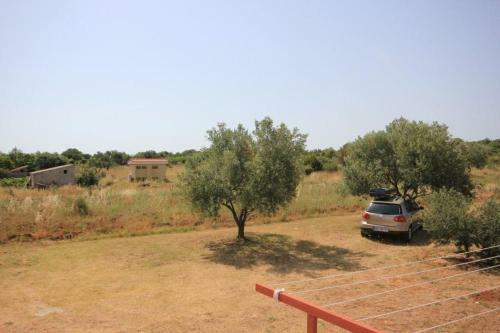 Apartment Pasman 8217c