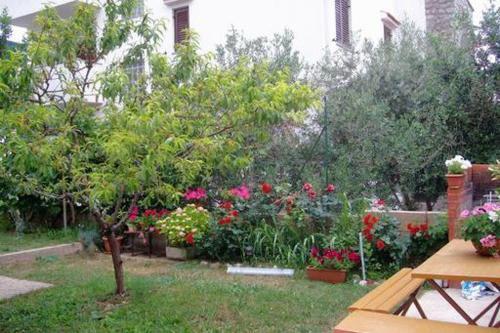 Apartment Baska 5443b