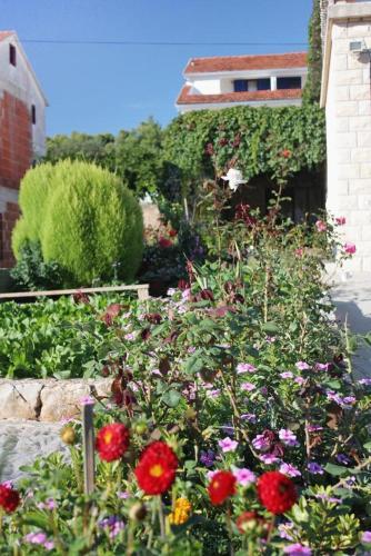 Apartamentos Studio Stari Grad 5730a