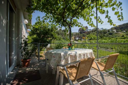 Apartment In Supetarska Draga 16063