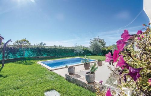Apartments With A Swimming Pool Fiorini (novigrad) - 7047