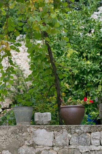 Apartamentos Villa Bona Dubrovnik