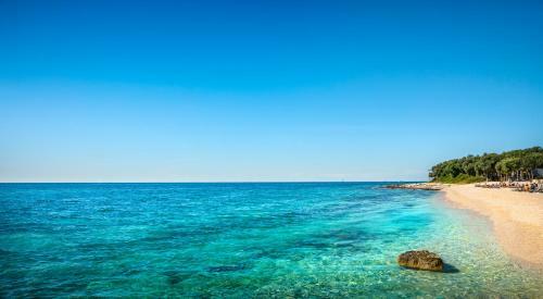Apartments Amarin