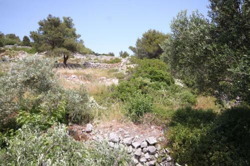 Apartment Mali Losinj 7942a