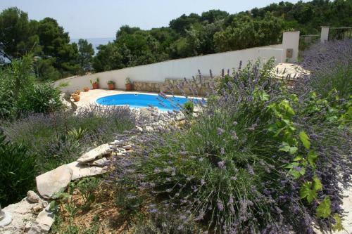 Apartment Jelsa 4608d