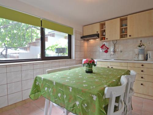 Apartment Mirna