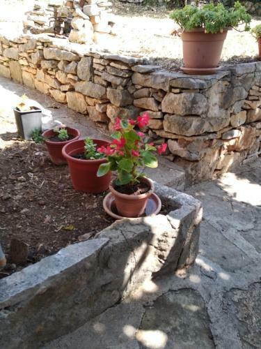 Holiday Home Jere