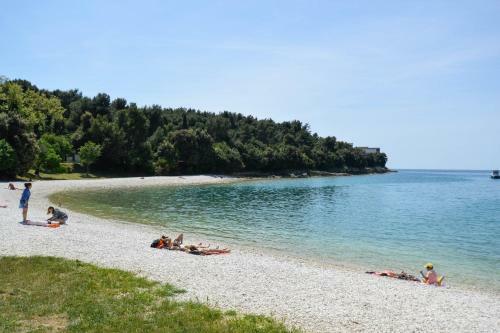 Apartment In Pula/istrien 11455