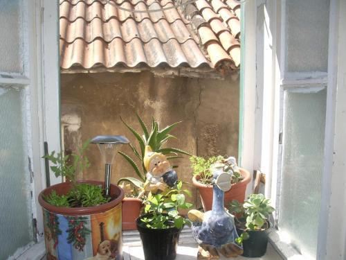 Hotel Apartments Antonio Premi
