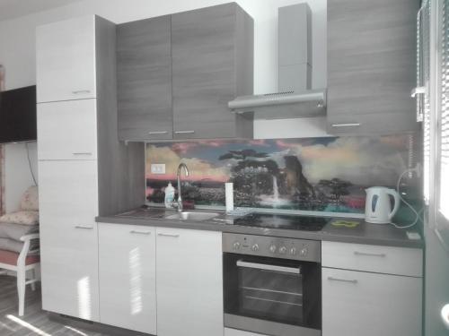 Apartment Cvjetna